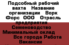 Подсобный рабочий вахта › Название организации ­ Ворк Форс, ООО › Отрасль предприятия ­ Семеноводство › Минимальный оклад ­ 30 000 - Все города Работа » Вакансии   . Калининградская обл.,Приморск г.